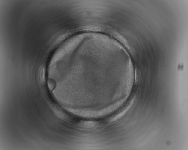 X0000102820205200809151023