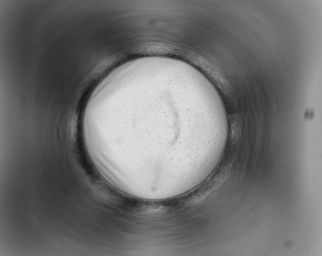 X0000102820206200809151023