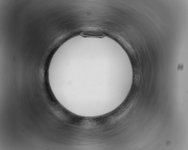 X0000102820207200809151023