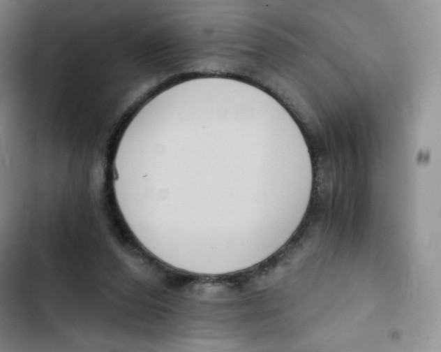 X0000102820208200809151023