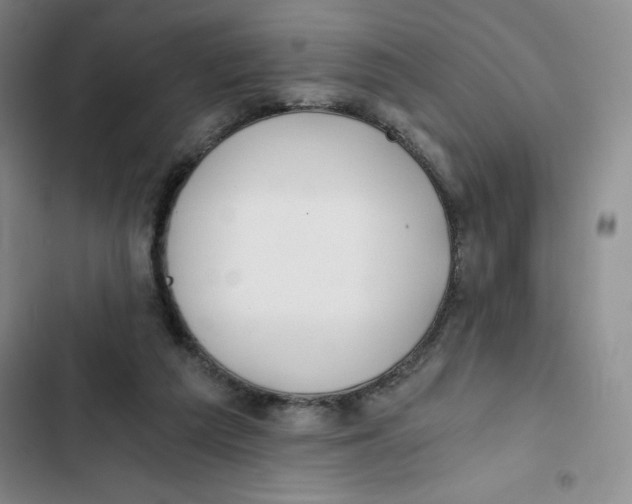 X0000102820209200809151023