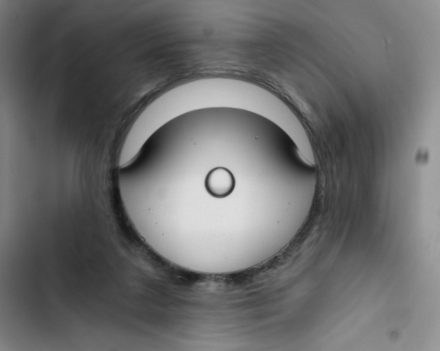X0000102820211200809151023