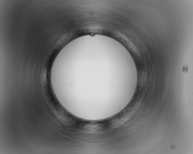 X0000102820213200809151023