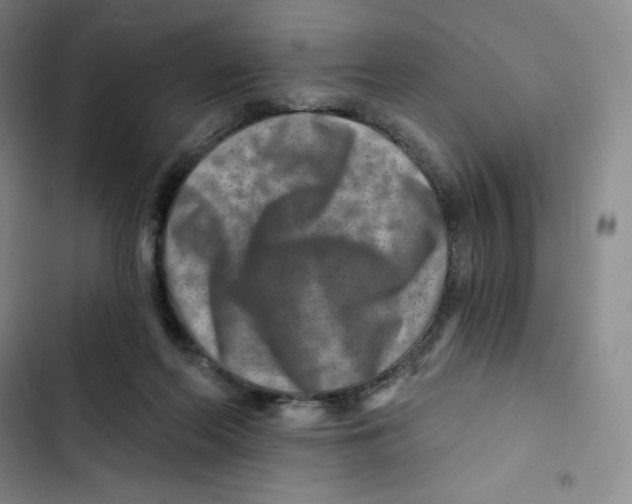 X0000102820214200809151023