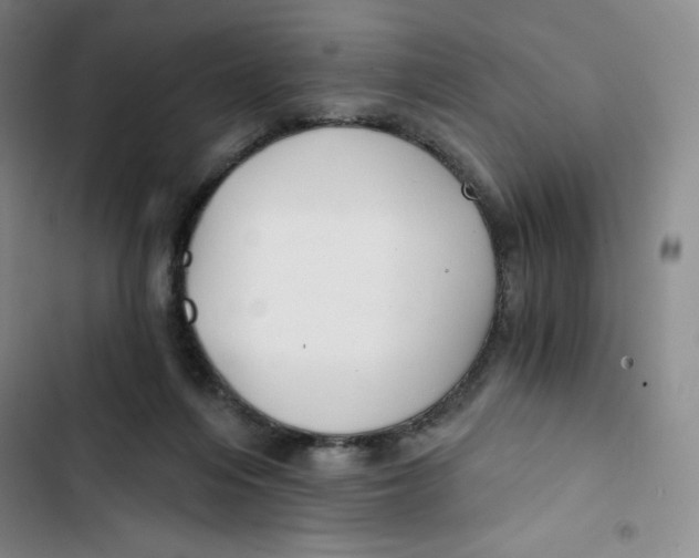 X0000102820216200809151023