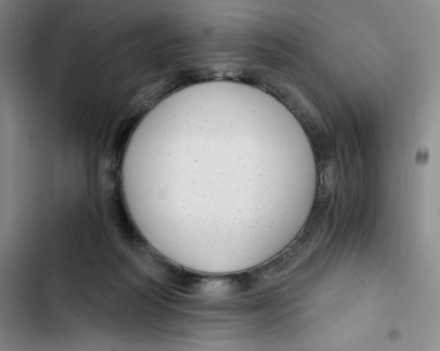 X0000102820218200809151023