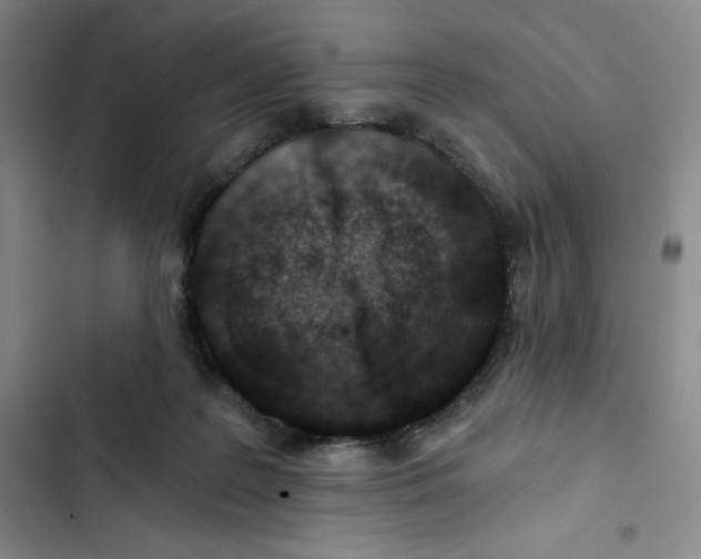 X0000102820219200809151023