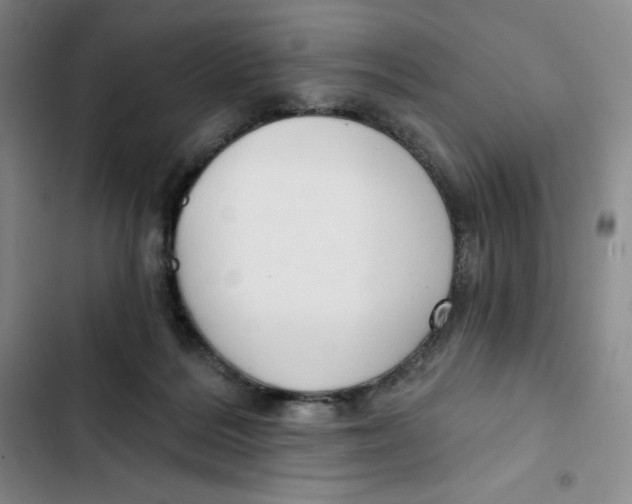 X0000102820220200809151023