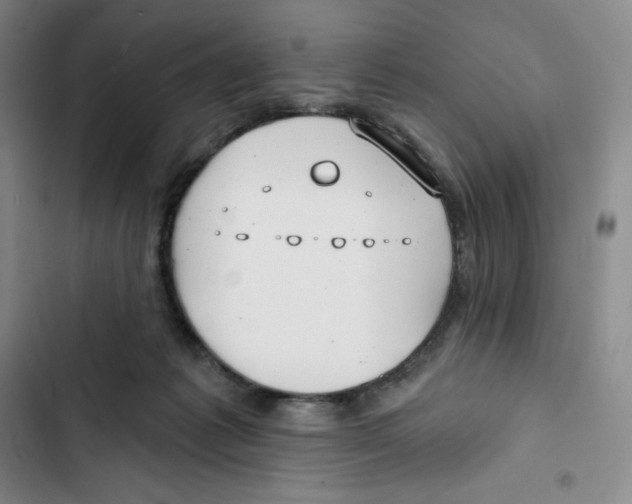 X0000102820221200809151023