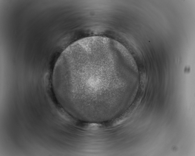 X0000102820222200809151023