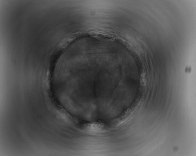 X0000102820223200809151023