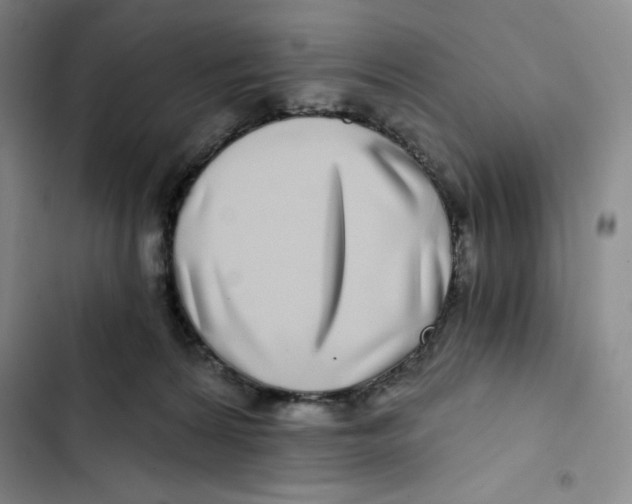 X0000102820224200809151023