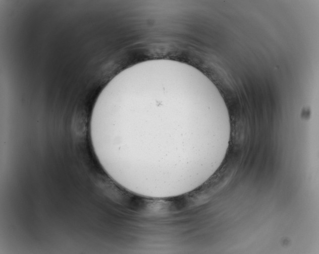 X0000102820226200809151023