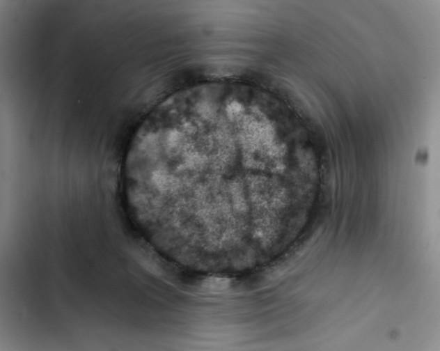 X0000102820227200809151023