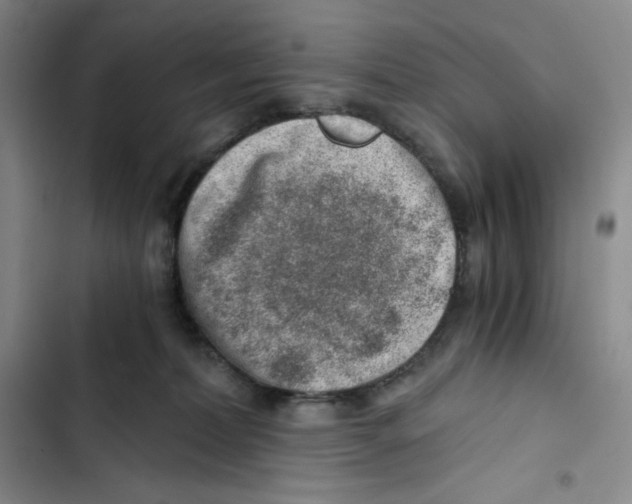 X0000102820228200809151023