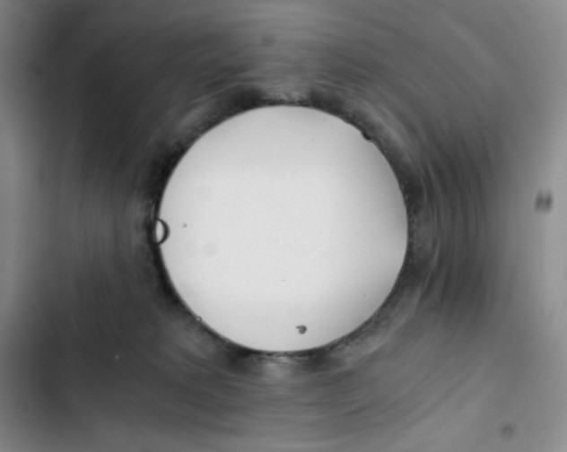 X0000102820229200809151023