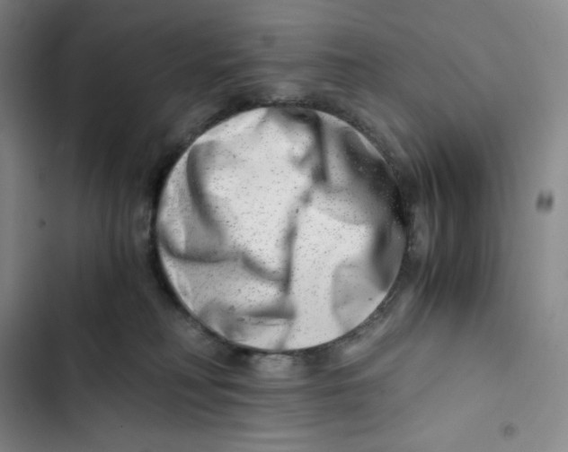 X0000102820230200809151023