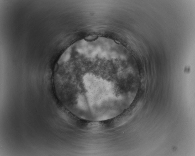 X0000102820231200809151023