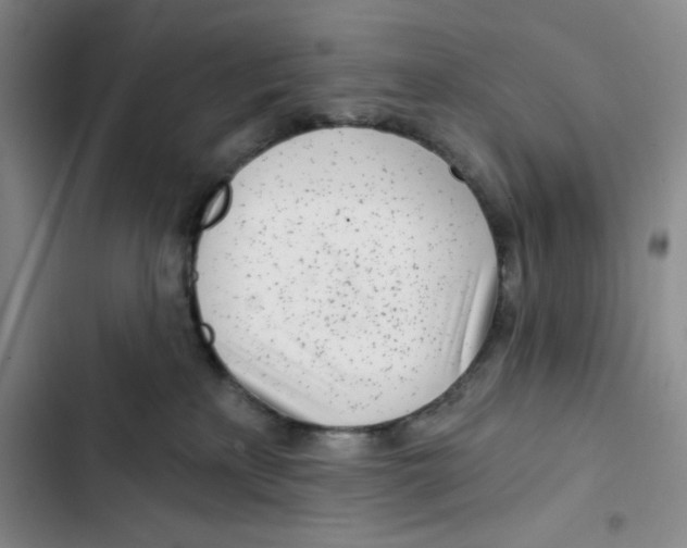 X0000102820233200809151023