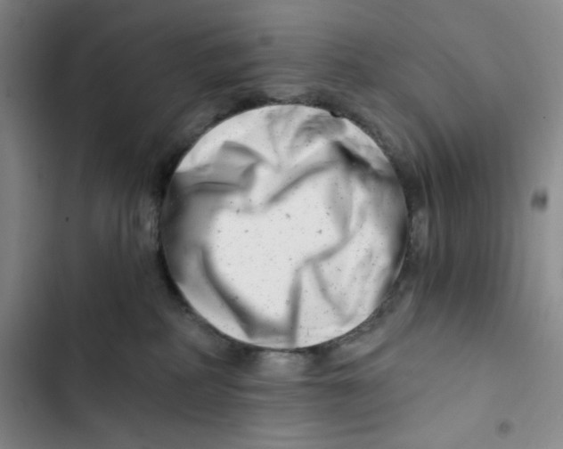 X0000102820234200809151023