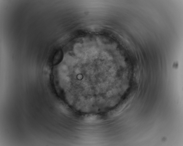 X0000102820235200809151023