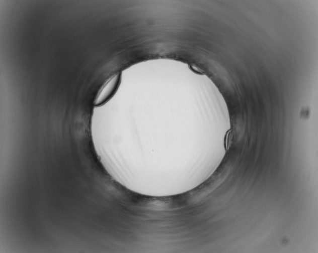 X0000102820236200809151023