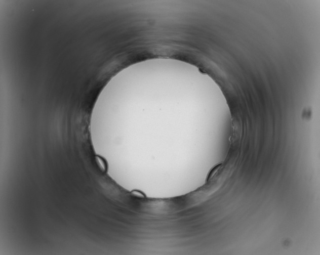 X0000102820237200809151023