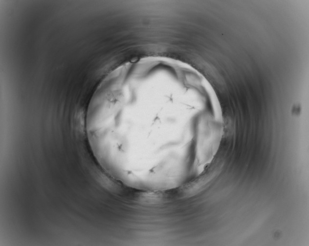 X0000102820238200809151023