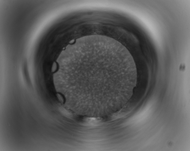 X0000102820239200809151023