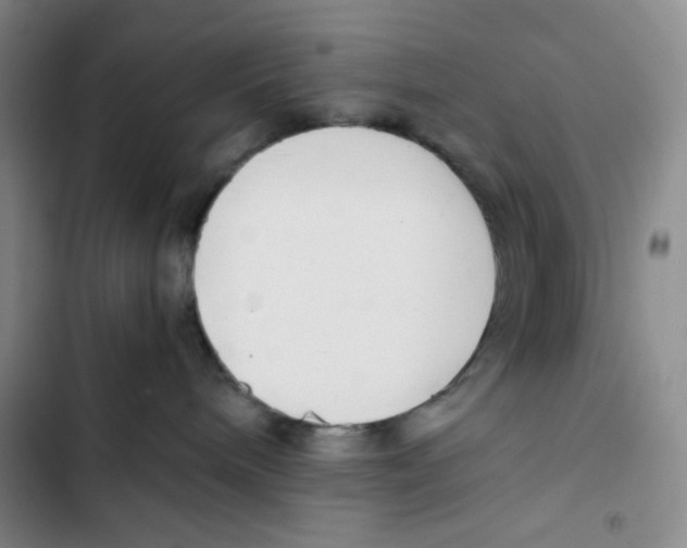 X0000102820240200809151023