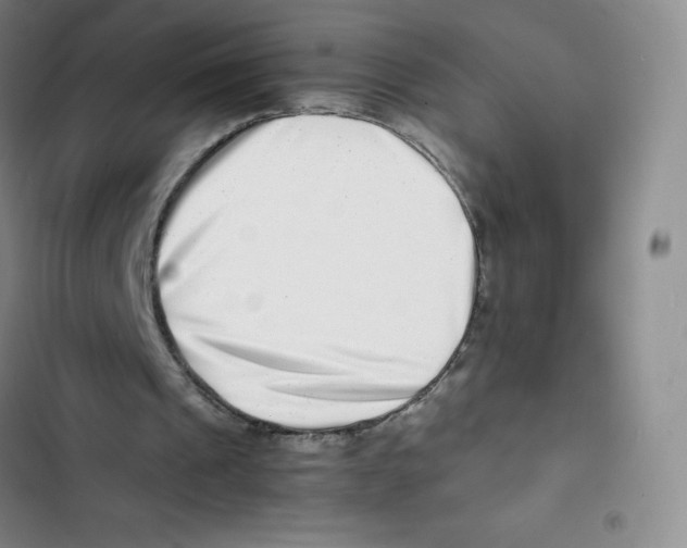 X0000102820241200809151022