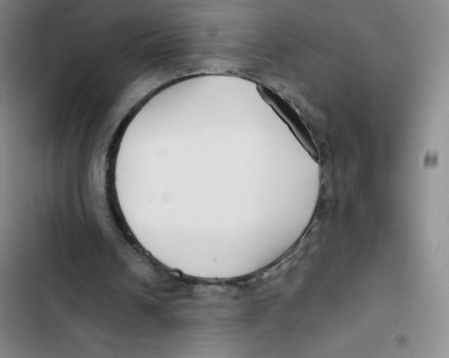 X0000102820242200809151022