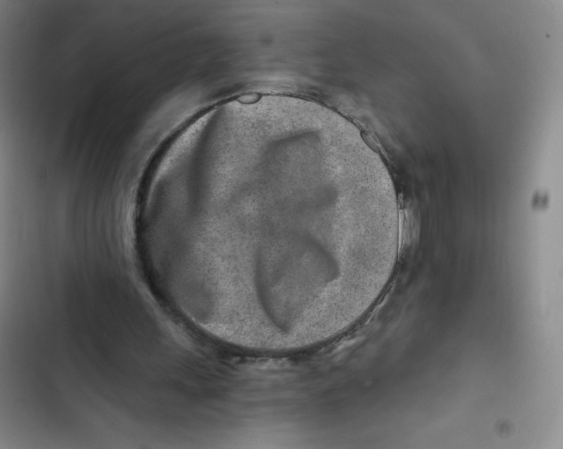 X0000102820243200809151022