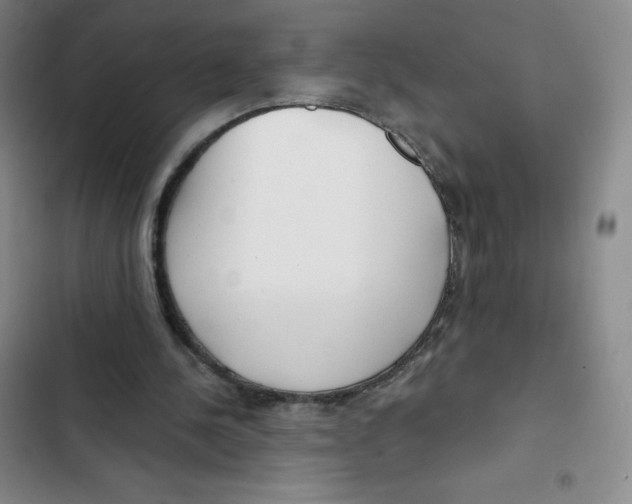X0000102820244200809151022