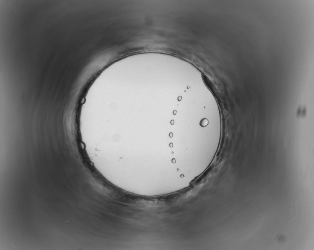 X0000102820245200809151022