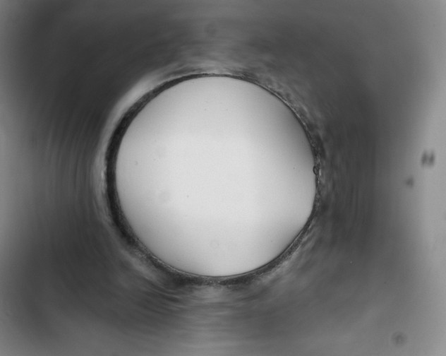 X0000102820246200809151022