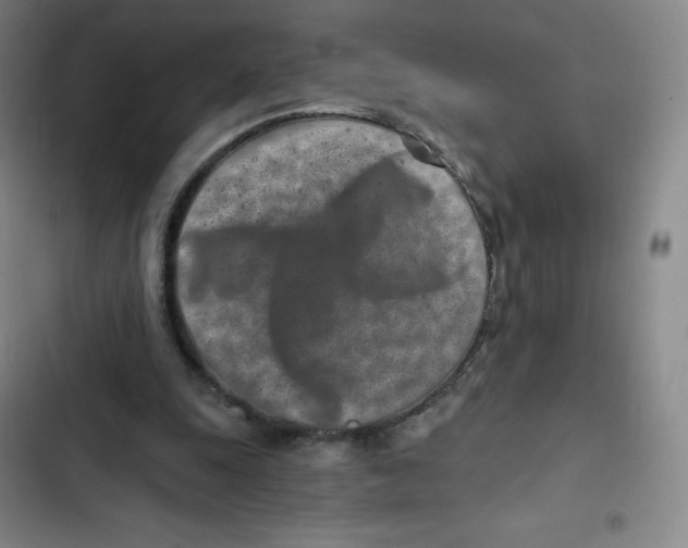 X0000102820247200809151022