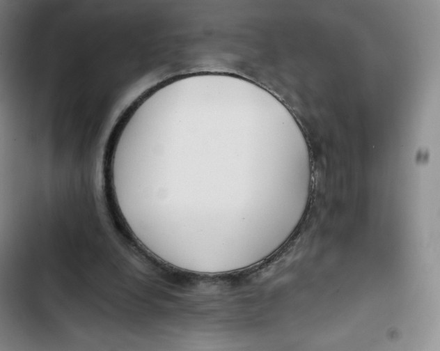 X0000102820248200809151022