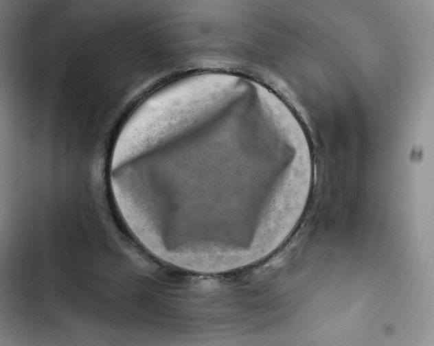X0000102820249200809151022