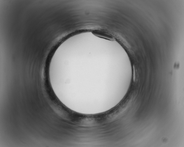 X0000102820252200809151022