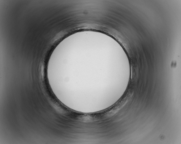 X0000102820253200809151022