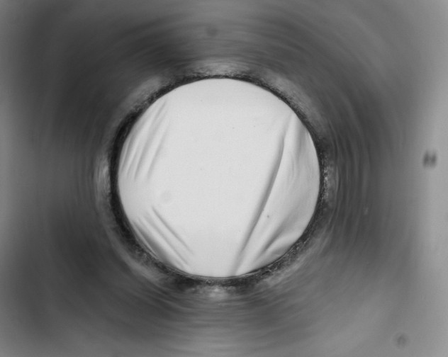 X0000102820254200809151022