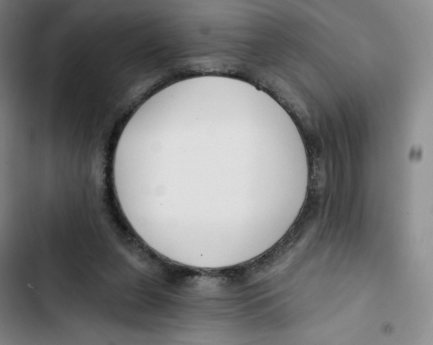 X0000102820255200809151022