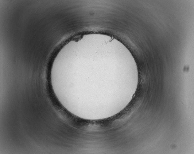 X0000102820256200809151022