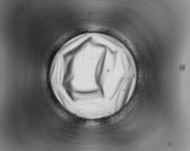 X0000102820257200809151022