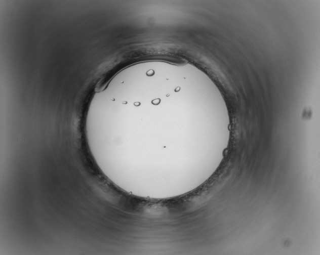 X0000102820258200809151022