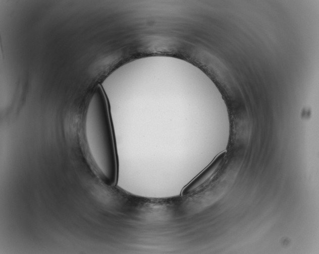X0000102820260200809151022