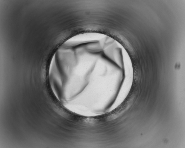 X0000102820261200809151022