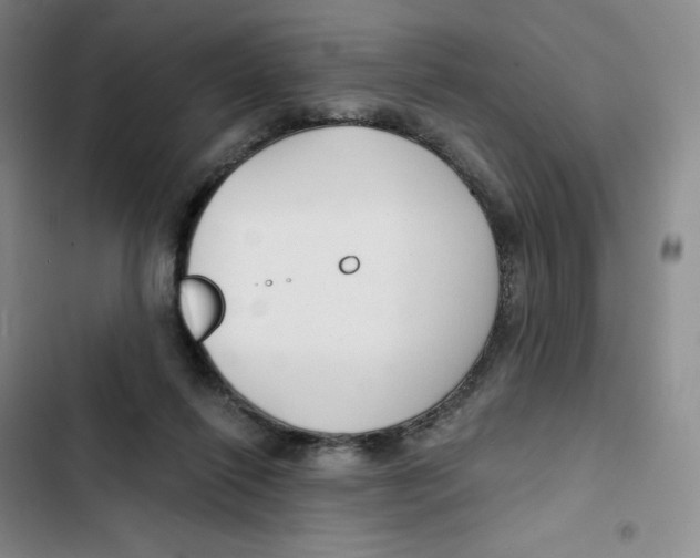 X0000102820262200809151022