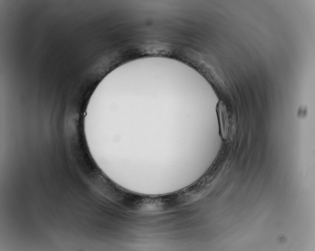 X0000102820263200809151022